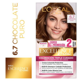 Promo Tinte Loreal | Gestor de Salud