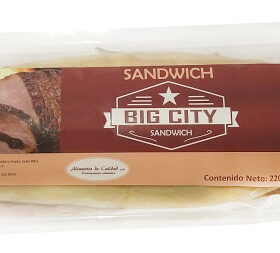 Sandwich Big City | Gestor de Salud